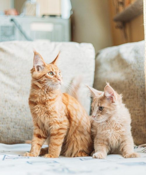 1-r934v0s2e696no6kz805wmsnqvzhlcln4ky9pbdbw0