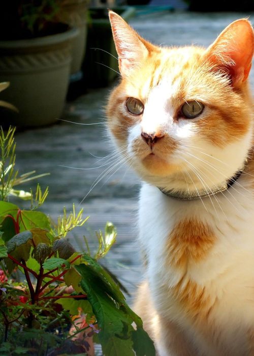 13198657_10206246666431742_4765557834200049631_o-r934x7qic99u7ic6i8ta96pe13mittaa0x8w1in8ew