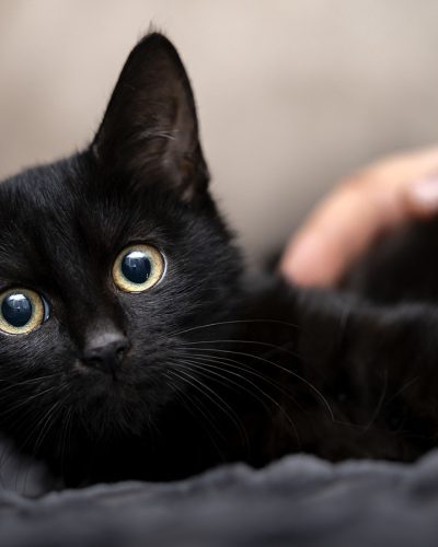 gettyimages-1422342406-r934wl6ckdlye9qxezily5pyco1vrfltgji8cikhhk